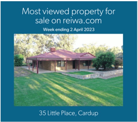 reiwa most viewed