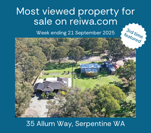 reiwa most viewed