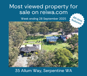 reiwa most viewed