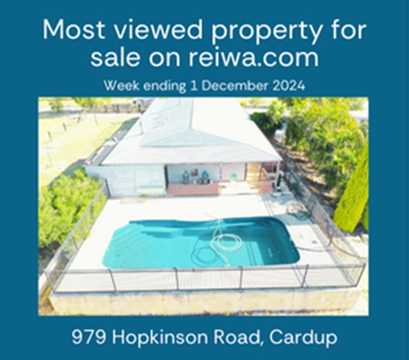 reiwa most viewed