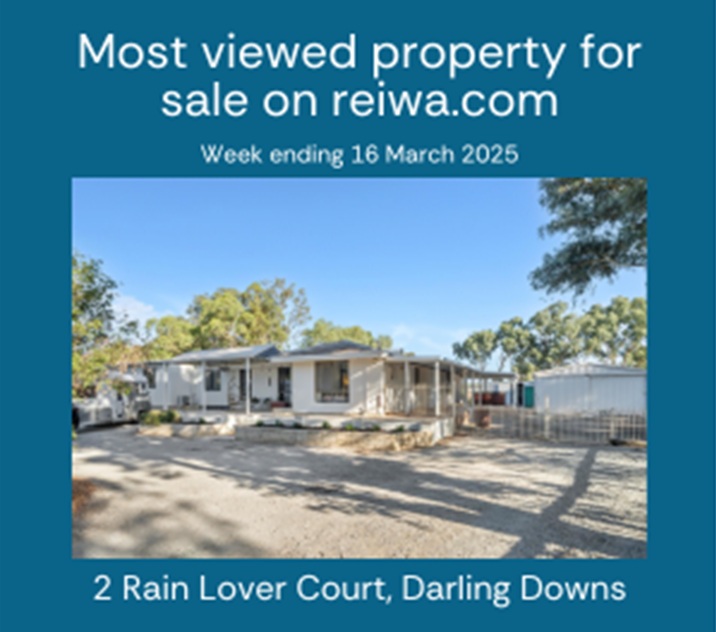 reiwa most viewed