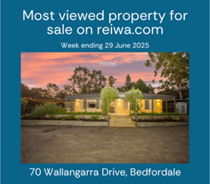 reiwa most viewed